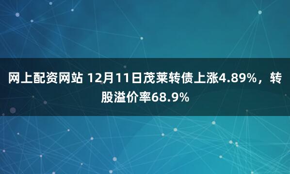 网上配资网站 12月11日茂莱转债上涨4.89%，转股溢价率68.9%